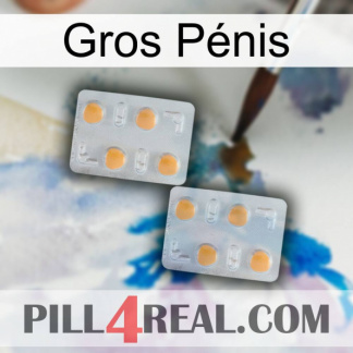 Gros Pénis 25